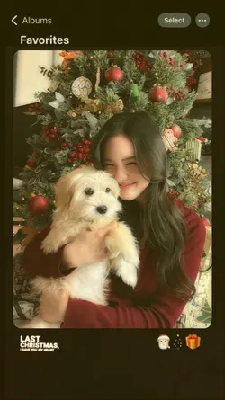 Merry Christmas