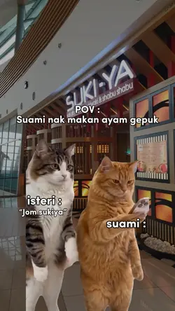CAT MEME 😂