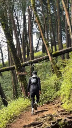 rest with nature