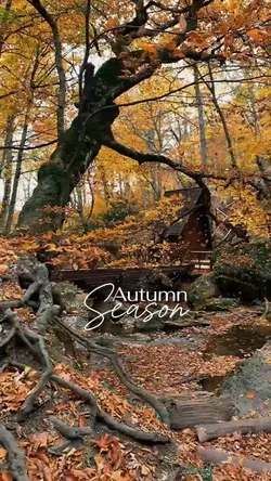 Autumn Season