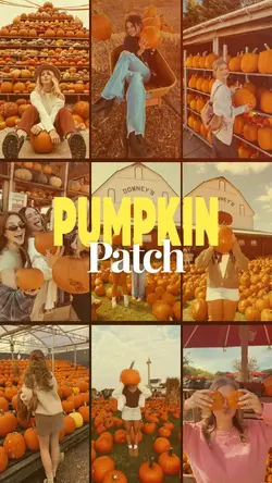 Pumpkin patch 