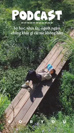 CHẲNG KHÁC GÌ 