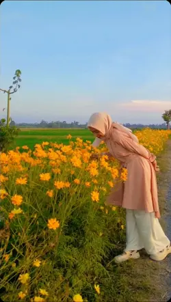 Kahona pyar rehe