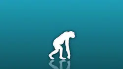 Évolution 