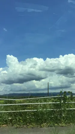 雰囲気？？