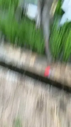 core 1 video aja 