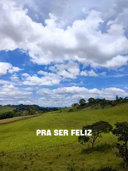 pra ser feliz 