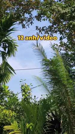 Mẫu nhiều ảnh