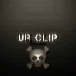 Skull Face Edit 1:1