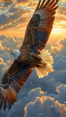 Eagle wings