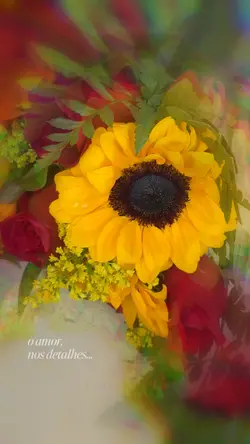 amor • detalhes