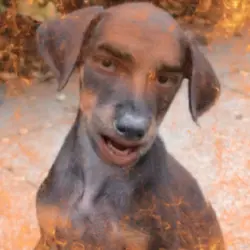 Fortnit