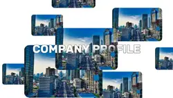 company profile