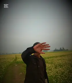 no caption