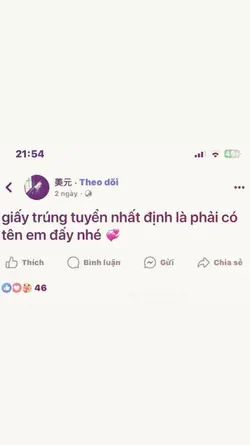 1 ảnh - đỗ nv1