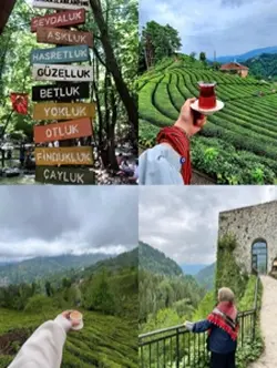 Karadeniz şablon
