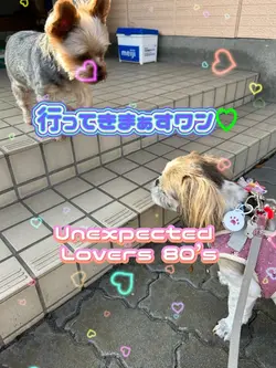 ユーロビート 80’s