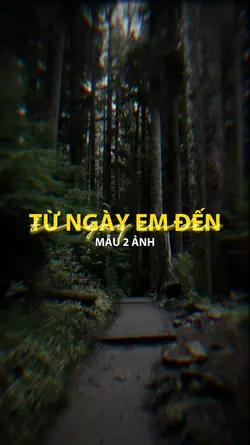 mẫu 2 ảnh