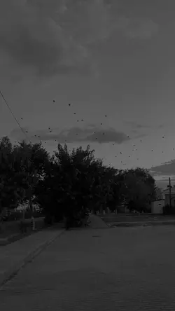 Вечера