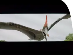 vhs