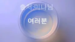 쌈뽕 허여