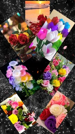 photo frames