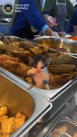 konten mbg