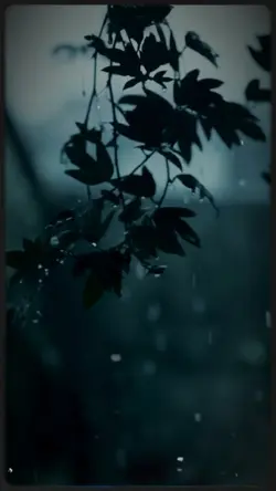 ابر کرم زرا تھم تھم