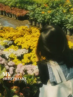 my sweetheart