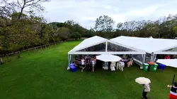 amway party