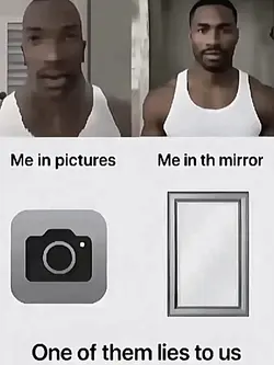 picture vs mirror