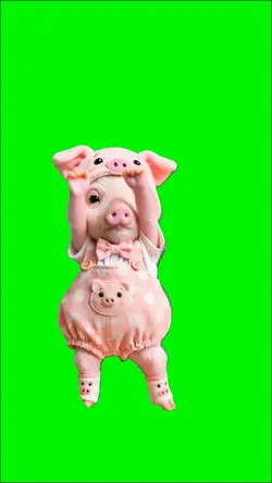 CUTE PIG