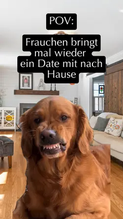 Hund eww Meme