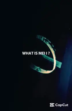 WHAT IS MEI I ?