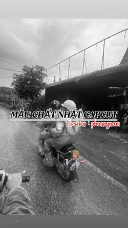 Mẫu chất