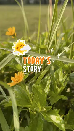 Today’s Story