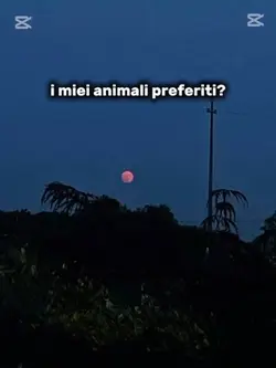 I miei animali prefe