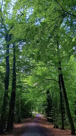 Natur 