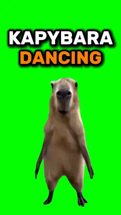 Capybara Dancing 