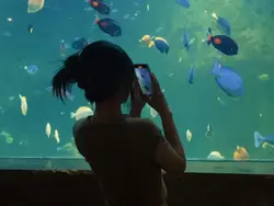 random videos dump