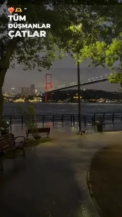 Yeni şablon 
