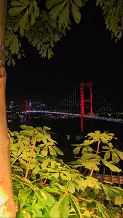 Taki seni