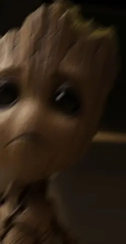 Groot
