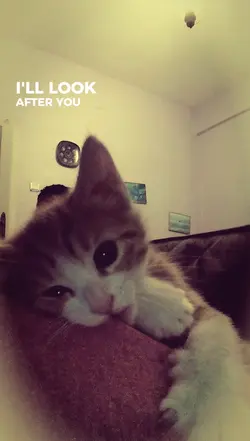 look after u