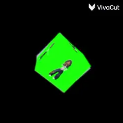 vivacut