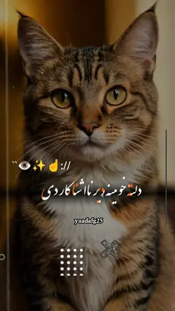 tiktok: yaadafg25 