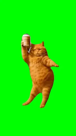 Cat Coffee Vibe