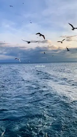 calm day