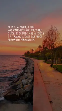 STATUS DO DIA