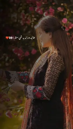 pashto song